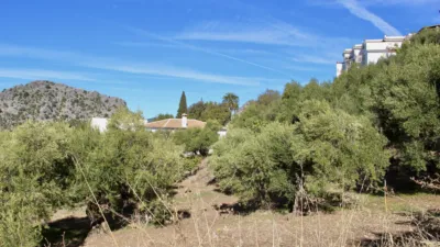 Rustic house in Benaocaz photo 29