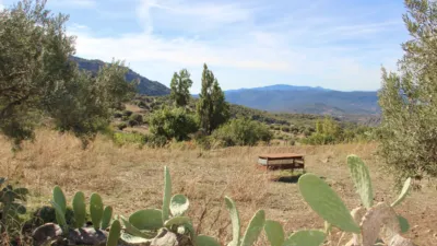Rustic house in Benaocaz photo 33