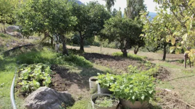Rustic house in Benaocaz photo 36