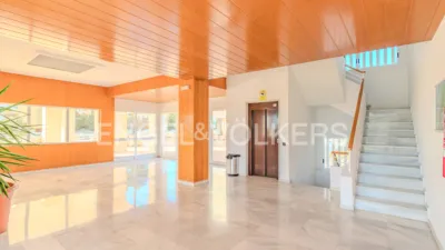 Apartment on Avenida de Niza, 29 photo 29