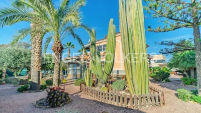 House in Los Girasoles photo 9