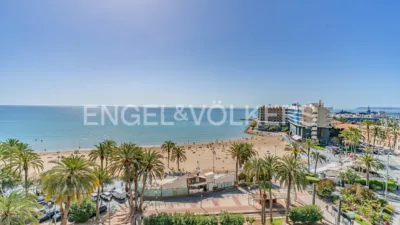 Pis – La Encina, Villena, La Encina - Vista 5
