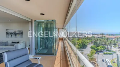 Pis – Alicante - Alacant - Vista 4