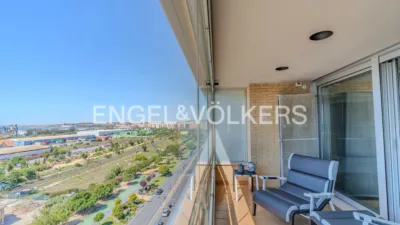 Pis – Alicante - Alacant - Vista 5