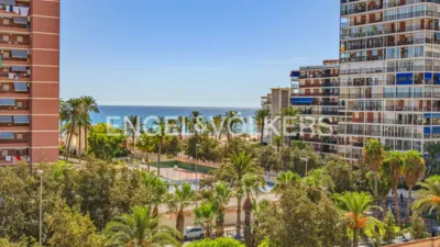 Piso – Alicante - Alacant - Vista 5