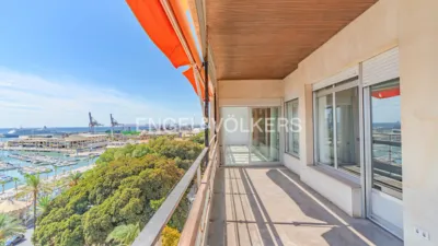 Pis – Alacant / Alicante, Raval de Sant Francesc, l'Alacantí - Vista 4
