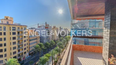 Pis – Alicante - Alacant - Vista 2