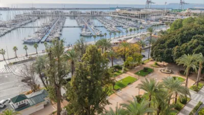 Pis – Alicante - Alacant - Vista 2