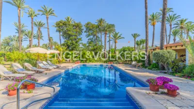 Casa – Elx - Elche - Vista 2
