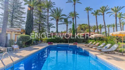 Casa – Elx - Elche - Vista 3