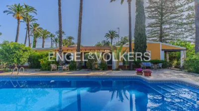 Casa – Elx - Elche - Más