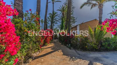 House on Calle Alzabares Alto photo 53