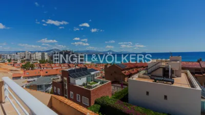 House in Cabo de La Huerta photo 42