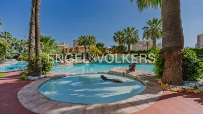 Apartment at Carrer Hisenda de l'Administrador, 3 photo 12