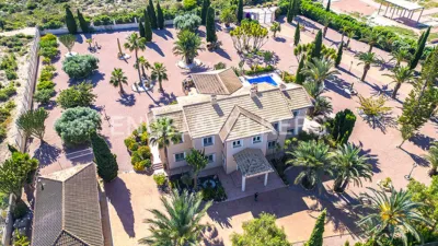 Villa on Marina Street photo 58