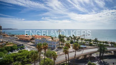 Piso – Alicante - Alacant - Más