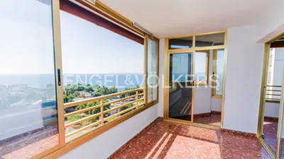 Pis – Alicante - Alacant - Vista 2