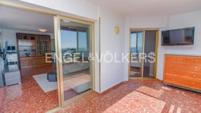 Pis – Alicante - Alacant - Vista 5