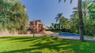 Casa – Elche, Algoda - Más