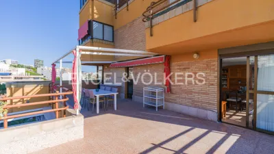 Pis – Elx - Elche - Vista 5