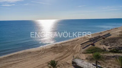 Pis – Elx - Elche - Vista 4