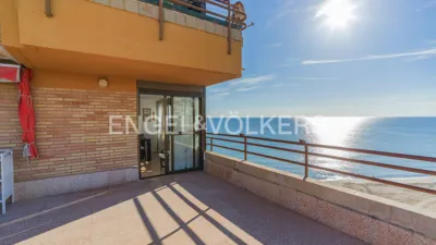 Pis – Elx - Elche - Vista 3