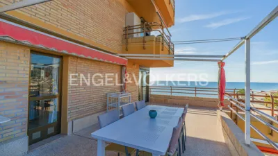 Pis – Elx - Elche - Vista 2