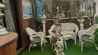 Ático en venta en Plaza de Juan de Austria, Paseo Zorrilla-Campo Grande-Cuatro de Marzo (Valladolid Capital) de 450.000 €