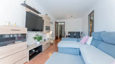 Apartment in La Plana photo 11