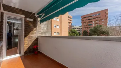 Apartment in La Plana photo 12