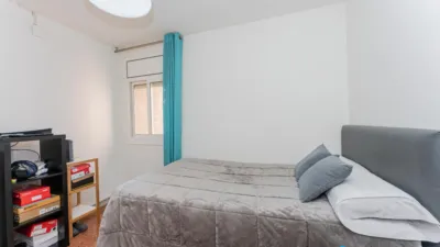 Apartment in La Plana photo 7