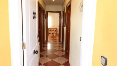House on Calle del Nardo photo 30