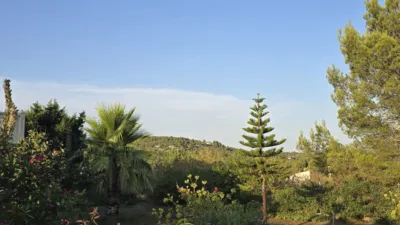 Chalet in Alborache photo 92