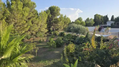Chalet in Alborache photo 87