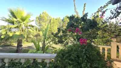 Chalet in Alborache photo 22