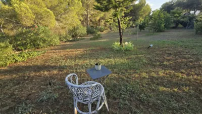 Chalet in Alborache photo 98