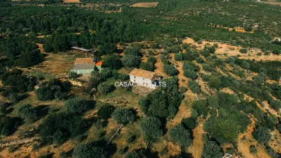 Rustic chalet in Les Useres - Useras photo 4