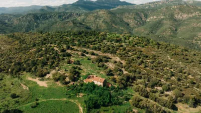 Rustic chalet in Llucena - Lucena del Cid photo 2