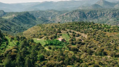 Rustic chalet in Llucena - Lucena del Cid photo 6