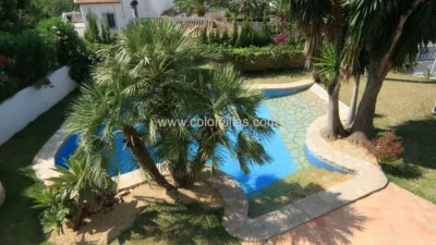 House in Pinar del Abogat-Cometa photo 60