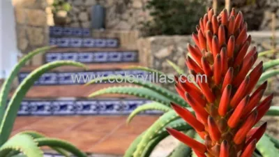 House on Carrer de Colom-Montenar photo 7