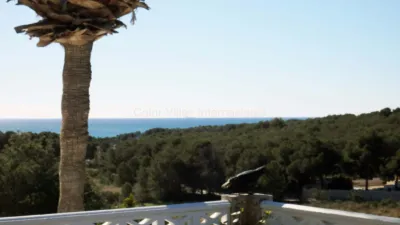 Detached house on Calle Cartagena, No. 15 photo 15