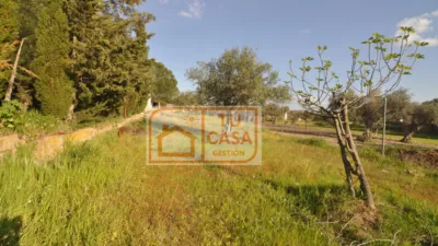 Rustic chalet on Fuente Santa Street photo 18