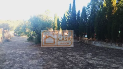 Rustic chalet on Fuente Santa Street photo 24