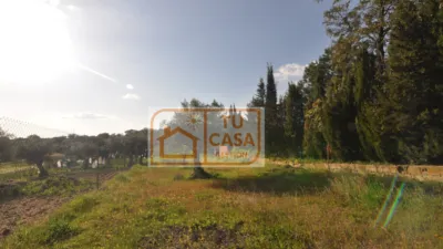 Rustic chalet on Fuente Santa Street photo 20
