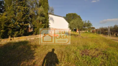 Rustic chalet on Fuente Santa Street photo 19