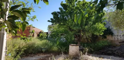 Rustic house on Carretera de Cenizate photo 35