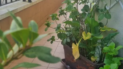 Semi-detached house on Karobiaga Street photo 57