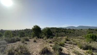 Rustic property on Calle Cv, No. 816 photo 4