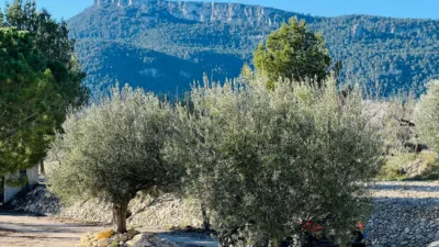 Chalet on Carretera Cv photo 2